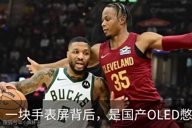 一块手表屏背后，是国产OLED憋了20年的大招
