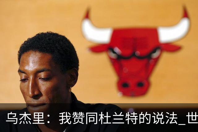 乌杰里：我赞同杜兰特的说法 世界上只有一个欧文