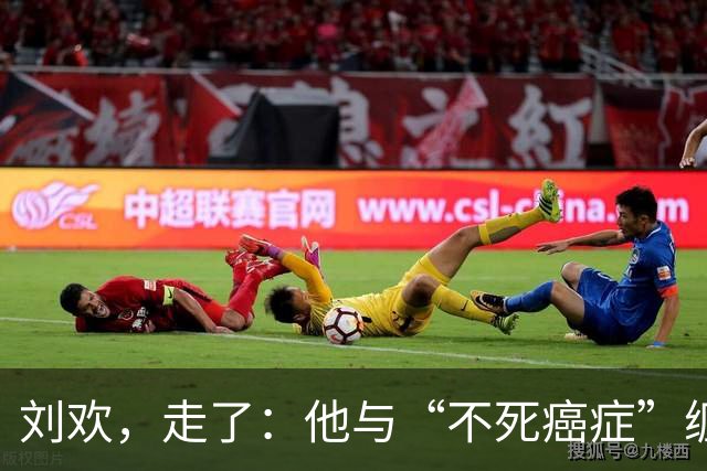 刘欢，走了：他与“不死癌症”缠斗的后半生