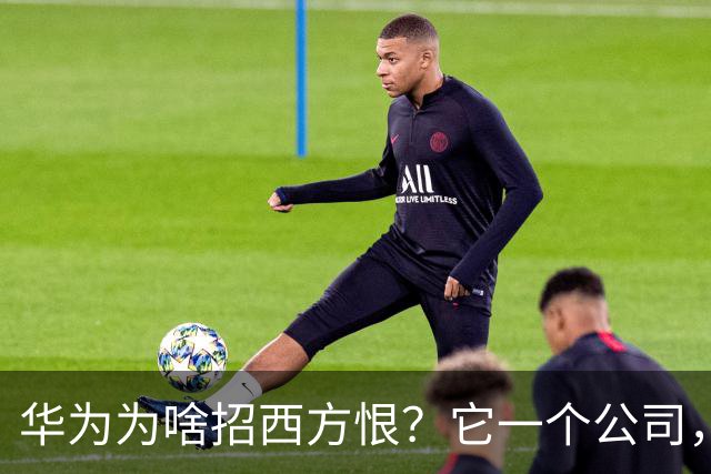 华为为啥招西方恨？它一个公司，挖了西方科技霸权的半座“祖坟”