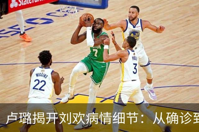 卢璐揭开刘欢病情细节：从确诊到离世，跟骨病熬了十七个年头