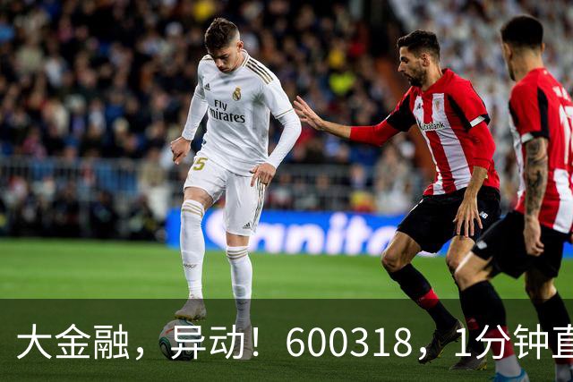 大金融，异动！600318，1分钟直线涨停