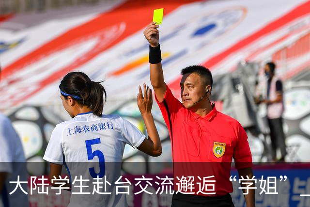 大陆学生赴台交流邂逅“学姐” 国安部：实为台间谍