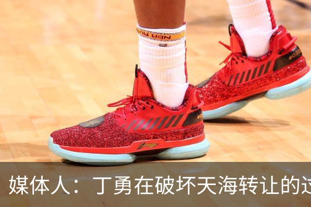 媒体人：丁勇在破坏天海转让的过程中曾拉刘奕下水