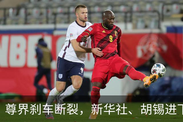 尊界刹车断裂，新华社、胡锡进下场，舆论场不该被撕裂｜汽势之声