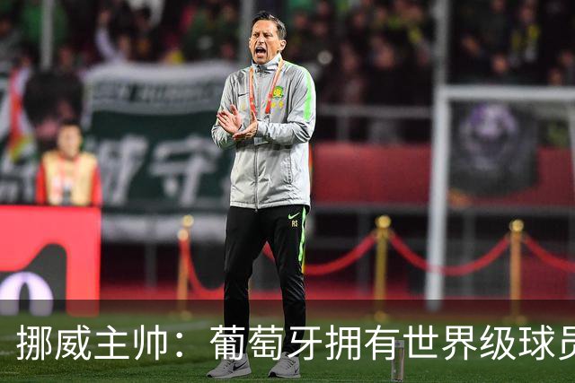 挪威主帅：葡萄牙拥有世界级球员，是欧洲最强的三支球队之一