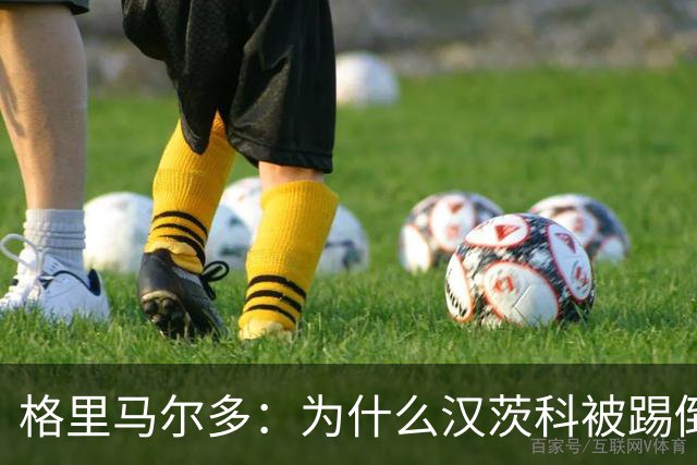 格里马尔多：为什么汉茨科被踢倒但VAR没介入？我们需要一个解释
