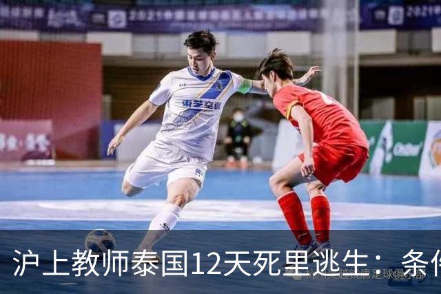 沪上教师泰国12天死里逃生：条件不差的人，怎么就成了电诈首选？
