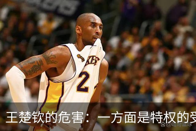 王楚钦的危害：一方面是特权的受益者，一方面装作特权的受害者！