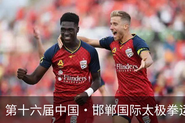 第十六届中国·邯郸国际太极拳运动大会开幕