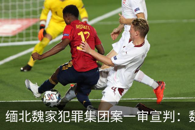 缅北魏家犯罪集团案一审宣判：魏怀仁等3人获死刑，魏青涛等3人被判无期