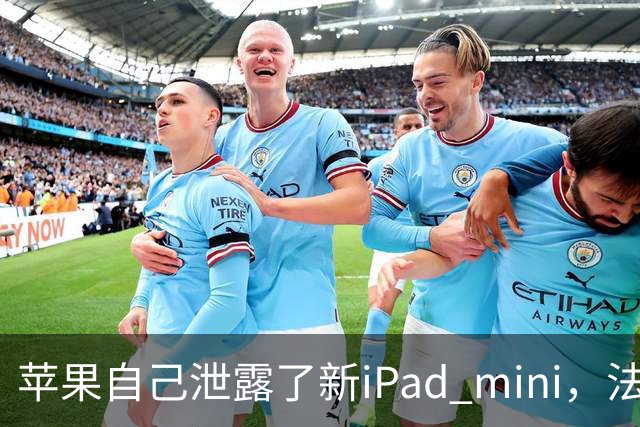 苹果自己泄露了新iPad mini，法国官网先露了馅