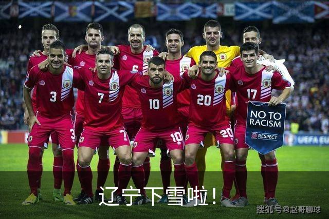 辽宁下雪啦！