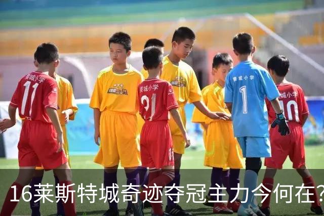 16莱斯特城奇迹夺冠主力今何在？仅3大核心尚未退役，瓦尔迪还在英格兰踢球
