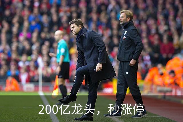 200亿龙头，秒涨停