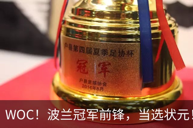 WOC！波兰冠军前锋，当选状元！